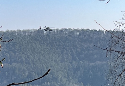 23-03-02 12-56-03 4575